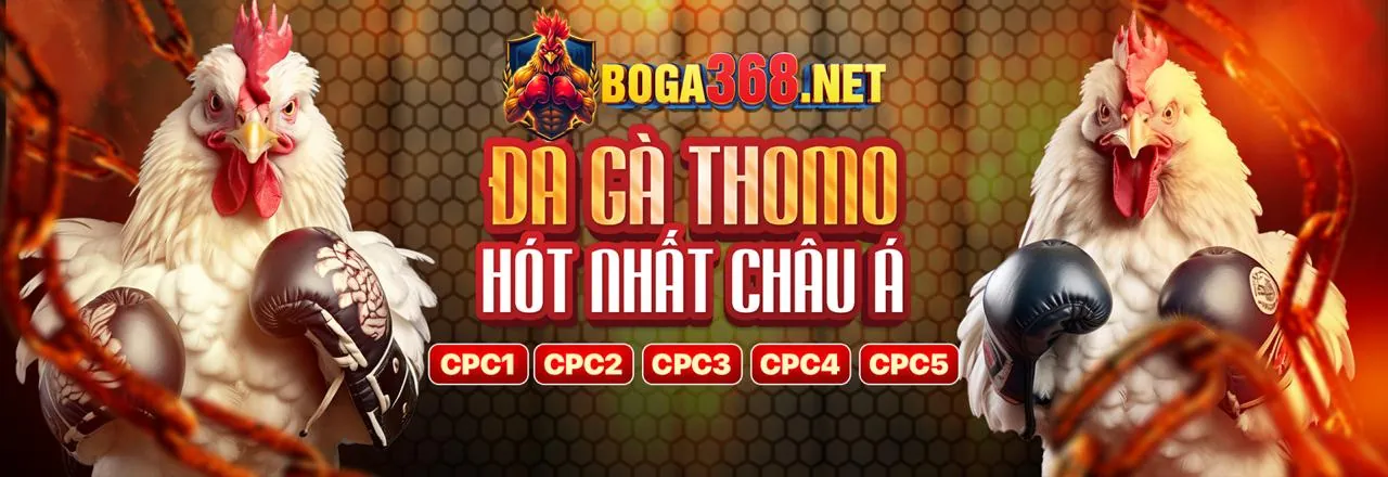 Ưu đãi chào mừng cho thành viên mới ip88 chính thức